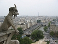 40 view of Paris from atop Notre Dame